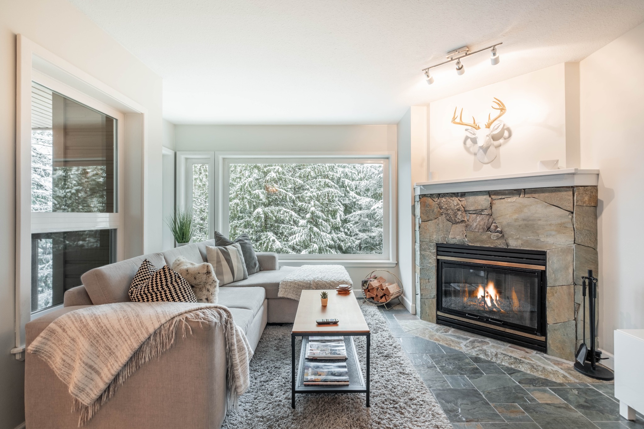 Gondola Grove living room with fireplace and forest view